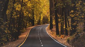 Preview wallpaper road, asphalt, trees, autumn