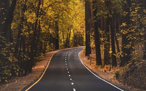 Preview wallpaper road, asphalt, trees, autumn