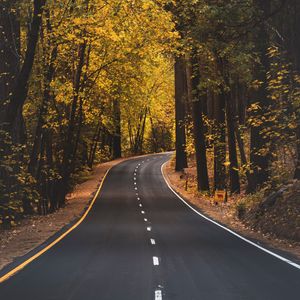 Preview wallpaper road, asphalt, trees, autumn