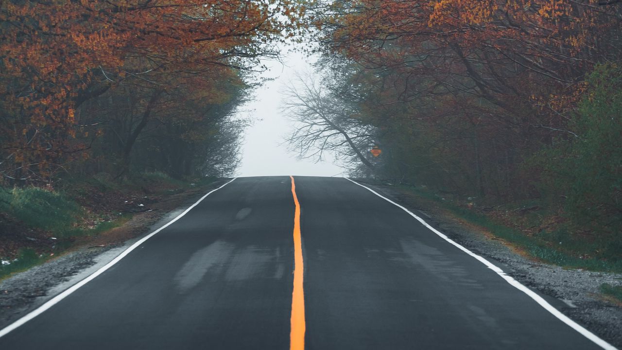 Wallpaper road, asphalt, trees, fog