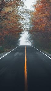 Preview wallpaper road, asphalt, trees, fog