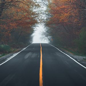 Preview wallpaper road, asphalt, trees, fog