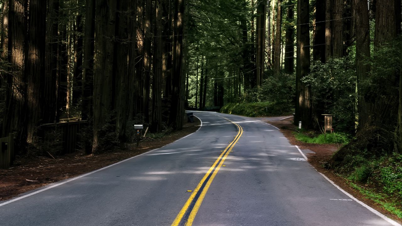 Wallpaper road, asphalt, turn, forest, trees, light