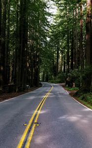 Preview wallpaper road, asphalt, turn, forest, trees, light