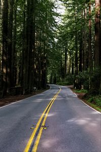 Preview wallpaper road, asphalt, turn, forest, trees, light