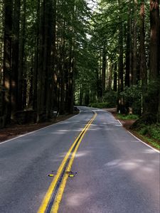 Preview wallpaper road, asphalt, turn, forest, trees, light