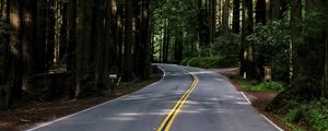 Preview wallpaper road, asphalt, turn, forest, trees, light