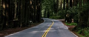 Preview wallpaper road, asphalt, turn, forest, trees, light