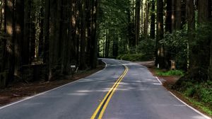 Preview wallpaper road, asphalt, turn, forest, trees, light