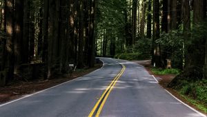 Preview wallpaper road, asphalt, turn, forest, trees, light