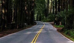 Preview wallpaper road, asphalt, turn, forest, trees, light
