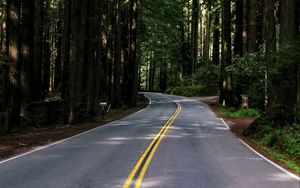 Preview wallpaper road, asphalt, turn, forest, trees, light