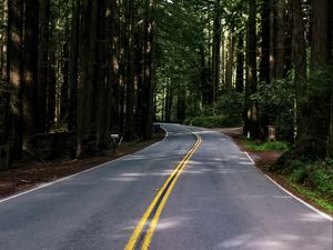 Preview wallpaper road, asphalt, turn, forest, trees, light