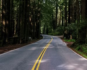 Preview wallpaper road, asphalt, turn, forest, trees, light