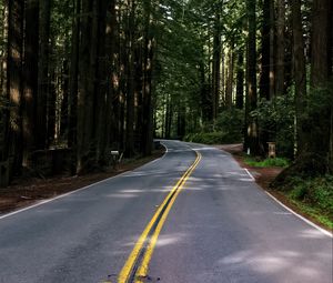 Preview wallpaper road, asphalt, turn, forest, trees, light