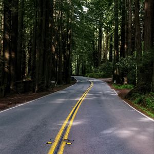 Preview wallpaper road, asphalt, turn, forest, trees, light