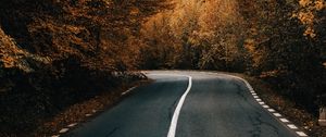 Preview wallpaper road, asphalt, turn, trees, autumn