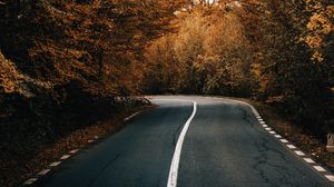 Preview wallpaper road, asphalt, turn, trees, autumn