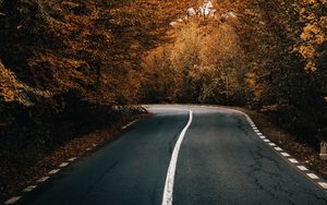 Preview wallpaper road, asphalt, turn, trees, autumn