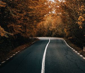 Preview wallpaper road, asphalt, turn, trees, autumn