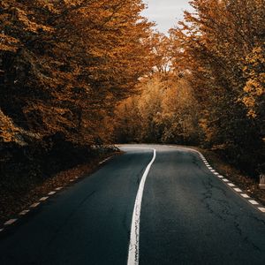 Preview wallpaper road, asphalt, turn, trees, autumn