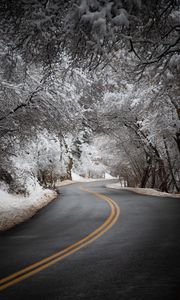 Preview wallpaper road, asphalt, turn, trees, snow, winter