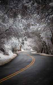 Preview wallpaper road, asphalt, turn, trees, snow, winter