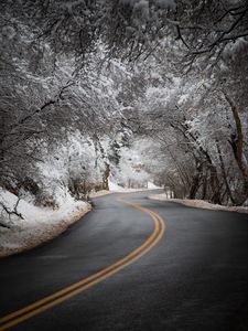 Preview wallpaper road, asphalt, turn, trees, snow, winter