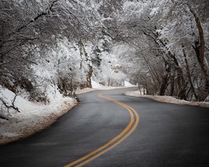 Preview wallpaper road, asphalt, turn, trees, snow, winter