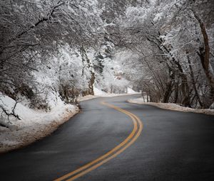 Preview wallpaper road, asphalt, turn, trees, snow, winter