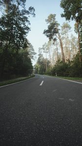 Preview wallpaper road, asphalt, turn, forest, trees, nature