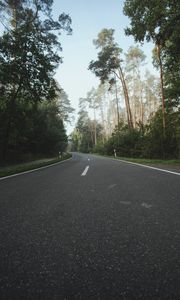 Preview wallpaper road, asphalt, turn, forest, trees, nature