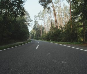 Preview wallpaper road, asphalt, turn, forest, trees, nature