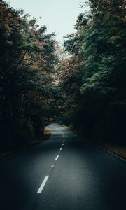 Preview wallpaper road, asphalt, turn, forest, trees