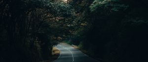 Preview wallpaper road, asphalt, turn, forest, trees