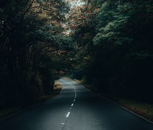 Preview wallpaper road, asphalt, turn, forest, trees