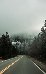 Preview wallpaper road, asphalt, turn, forest, trees, snow, winter