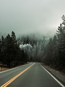 Preview wallpaper road, asphalt, turn, forest, trees, snow, winter