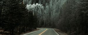 Preview wallpaper road, asphalt, turn, forest, trees, snow, winter