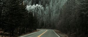 Preview wallpaper road, asphalt, turn, forest, trees, snow, winter