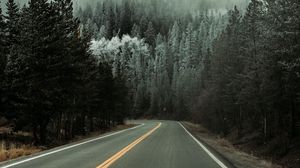 Preview wallpaper road, asphalt, turn, forest, trees, snow, winter