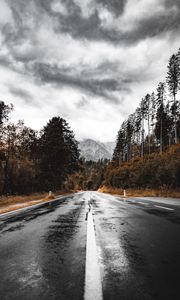 Preview wallpaper road, asphalt, wet, forest, mountains