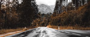 Preview wallpaper road, asphalt, wet, forest, mountains