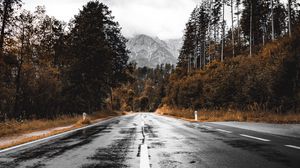 Preview wallpaper road, asphalt, wet, forest, mountains