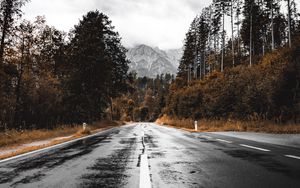Preview wallpaper road, asphalt, wet, forest, mountains