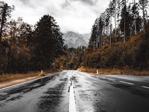 Preview wallpaper road, asphalt, wet, forest, mountains