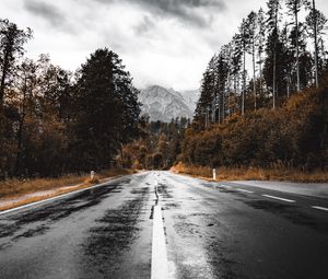 Preview wallpaper road, asphalt, wet, forest, mountains