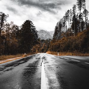 Preview wallpaper road, asphalt, wet, forest, mountains