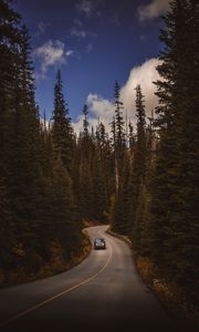 Preview wallpaper road, auto, trees, turn