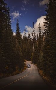 Preview wallpaper road, auto, trees, turn